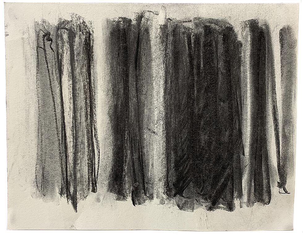 Drawings, Charcoal on paper, 2017, 20 by 16 inches
